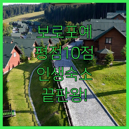 카자흐스탄 슈추친스크 보로포예 숙소 추천 평점 10점 만족 후기 분석