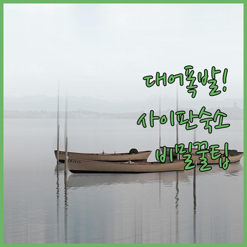 사이판 대어 낚시 포인트 근처 호텔 예약 팁과 리조트별 장점 정리