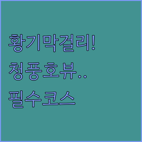 제천 내토시장 황기 막걸리 쇼핑과 청풍호 전망 숙소 상세 정보