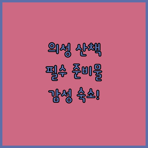 의성 구천생활체육공원 강아지 산책 준비물과 근처 반려동물 동반 숙소 분석