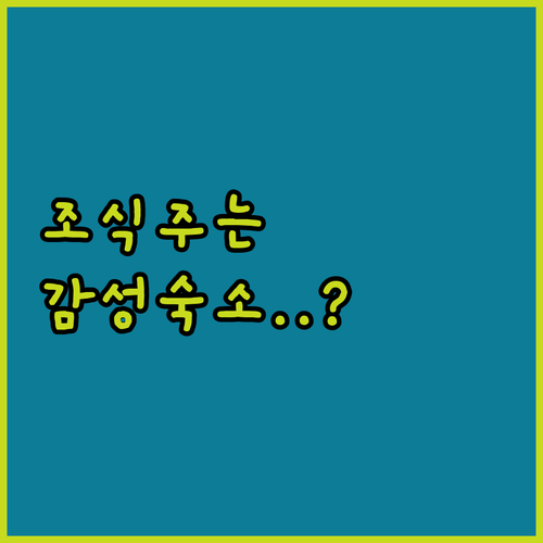 담양 커플 여행 숙소 추천 조식 주는 호텔과 감성 숙소