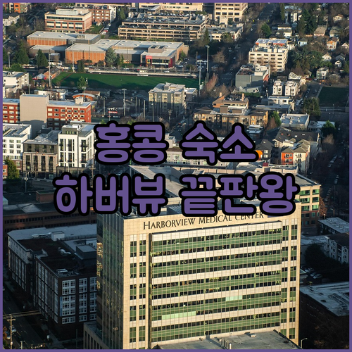 홍콩 숙소 추천 4곳 위치부터 객실 하버뷰 조식까지 완벽 분석